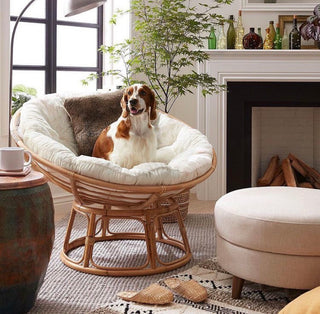 Papasan chair