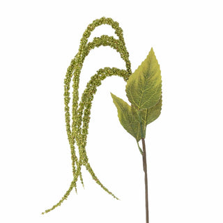 Flor Foxtail verde