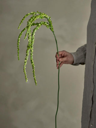 Flor Foxtail verde