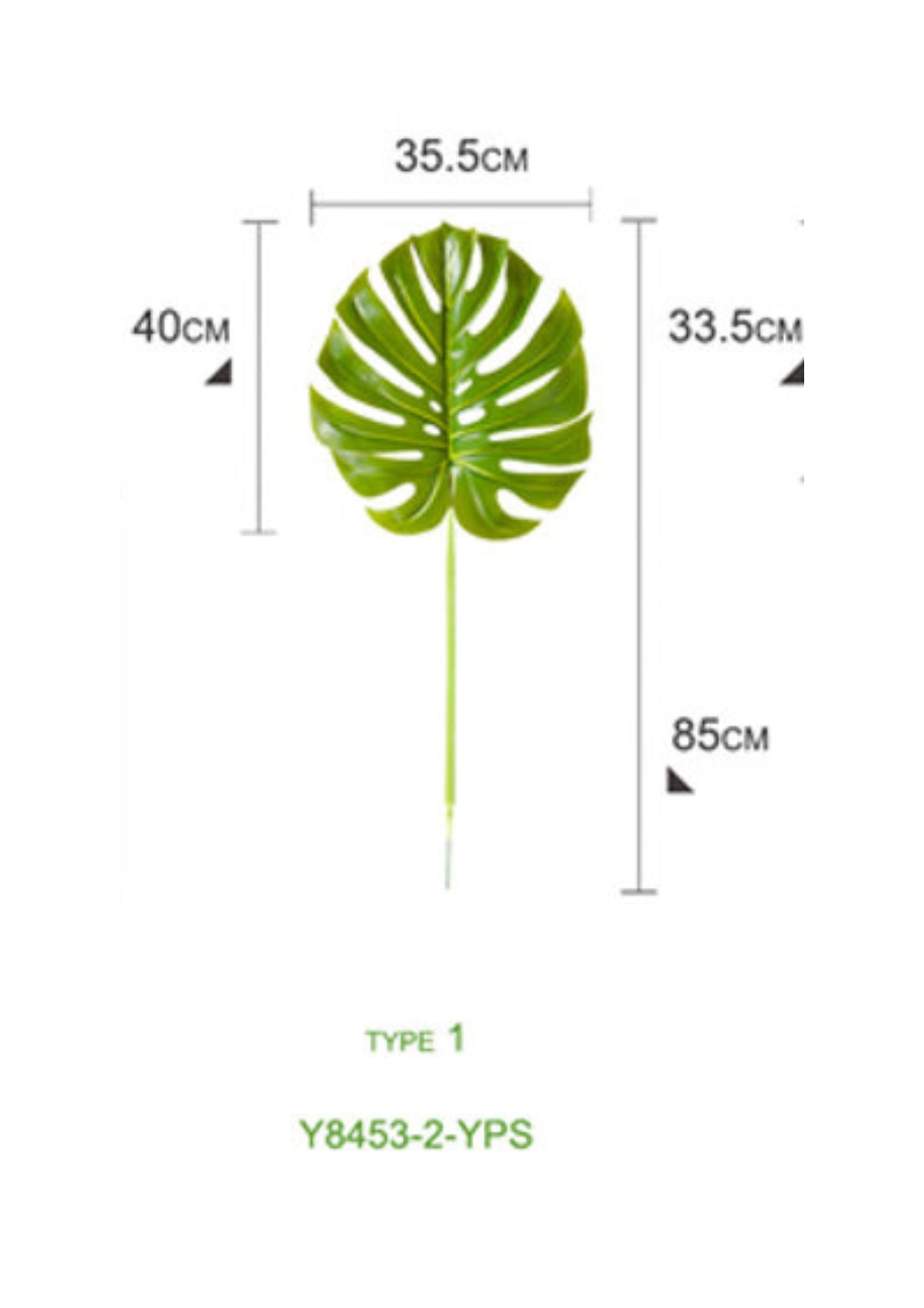 monstera leaf