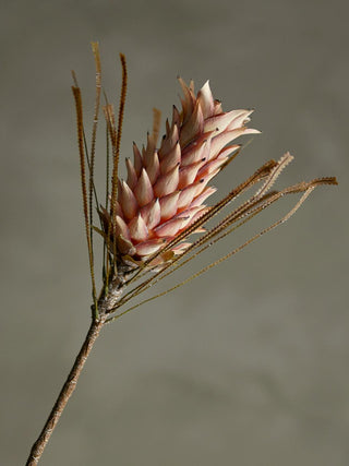 Flor Palm rosa