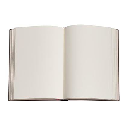 Journal Van Gogh
