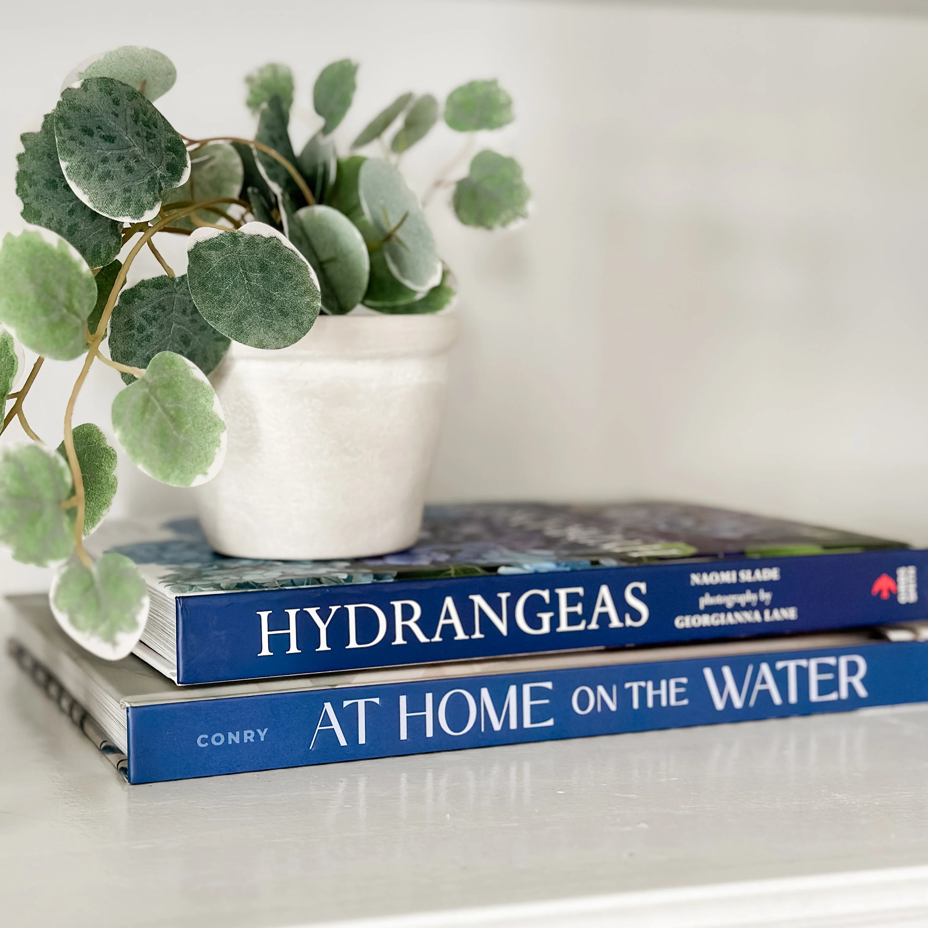 Libro At Home on the Water