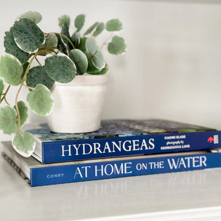 Libro At Home on the Water