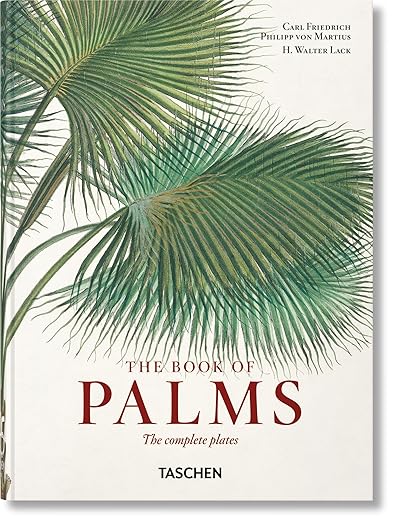 The Book of Palms