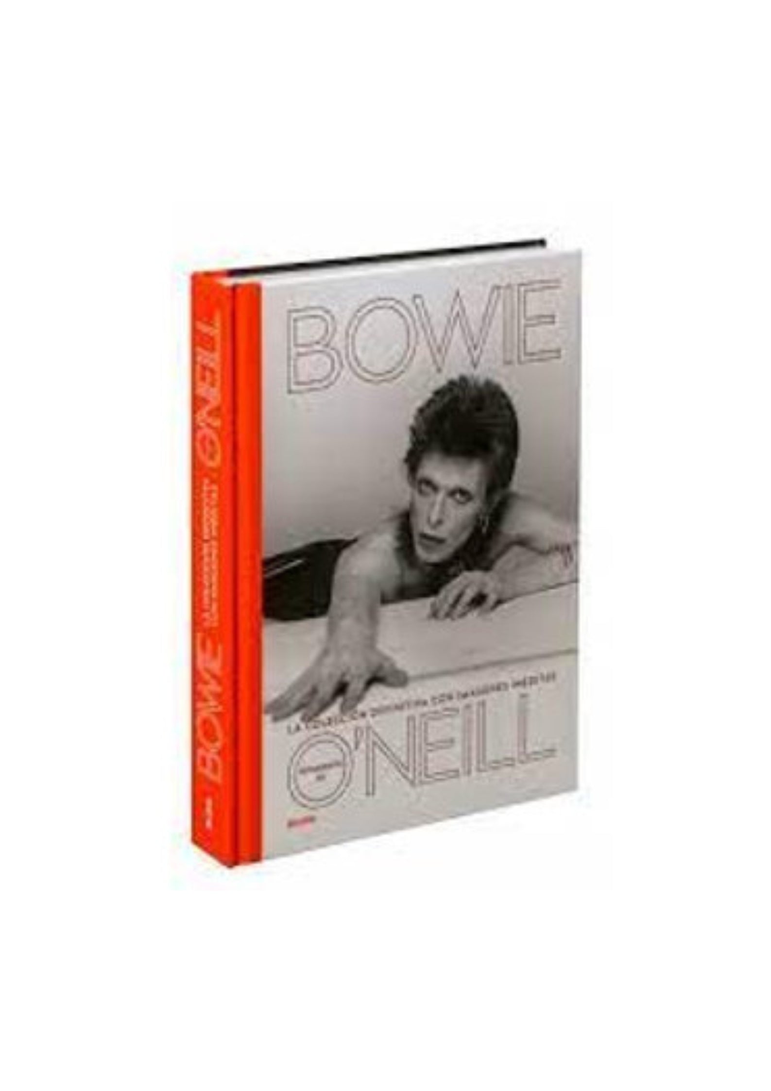 bowie book