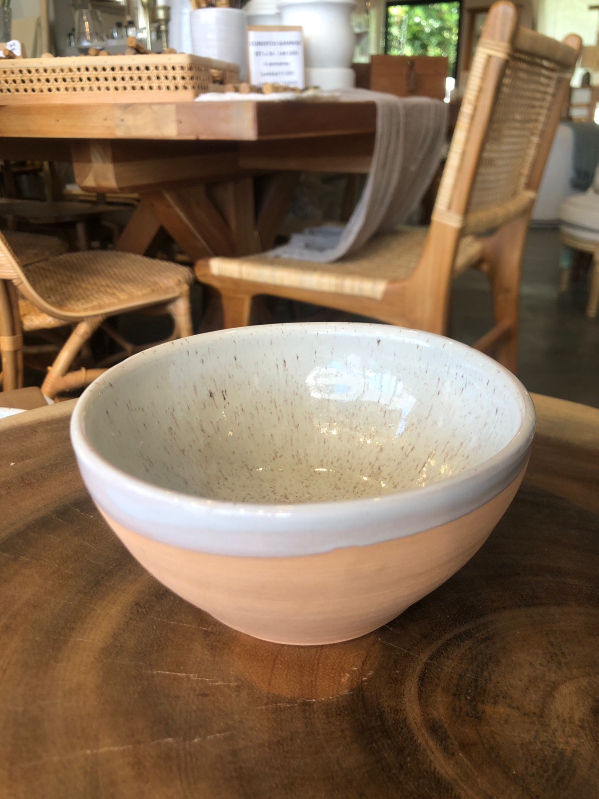 Bowl cerámica dual GRES 19CM