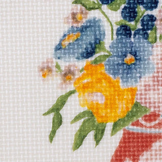 Plato Dorothy rosado