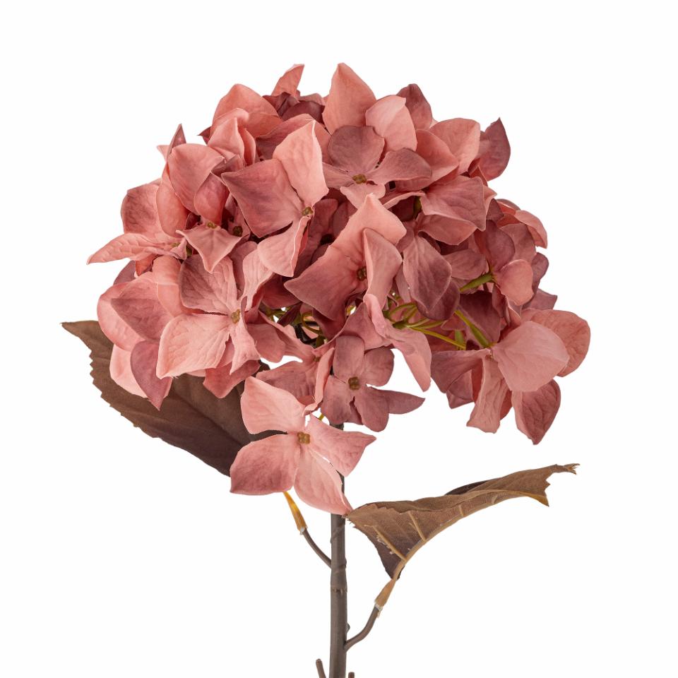 Flor Hortensia rosa