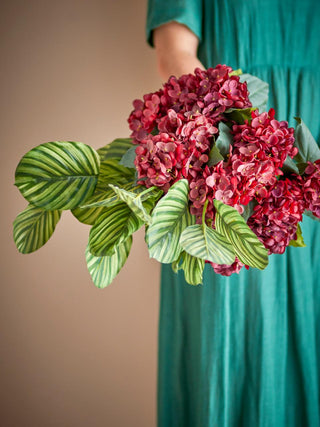 Tallo Hortensia rojo