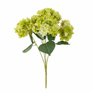 Tallo Hortensia verde grande