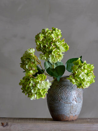 Tallo Hortensia verde grande