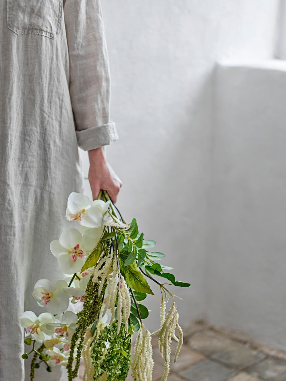 Tallo Orquídea blanco