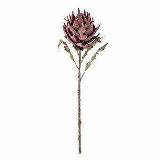 Tallo Protea violeta