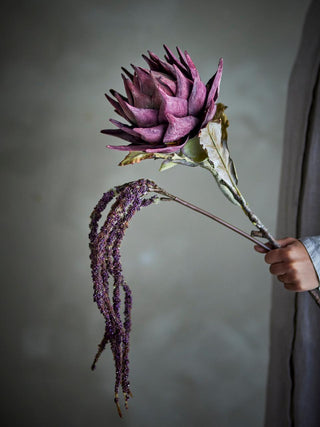 Tallo Protea violeta